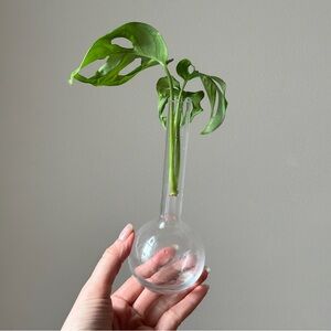 Vintage Clear Glass Propagation Vase Plant Bud Vase